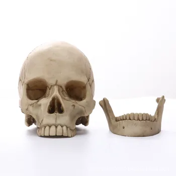 1:1 Ľudská Hlava Lebka Socha pre Domova Živice Figúrky Halloween Dekorácie Socha Lekárske Výučby Náčrt Modelu Remeslá