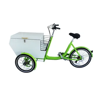 Biela Farba Dospelých Trojkolka Elektrické Mobile Cargo Bicykli Nákupný Košík s Nerez Rámček Naložené Prispôsobiteľné