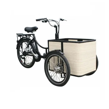 Mini Electric Mobile Cargo Bicykel Pre Dospelých Trojkolka Nákupný Košík Trike Účtovná Deti, Deti, Domáce Zvieratá, Pes Bakfiets Prispôsobiteľné