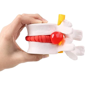 Ľudské Osteoporózy Model Demonštrácia Model Medzistavcové herniácie Disku Ortopédia Bolesť Oddelenie Model
